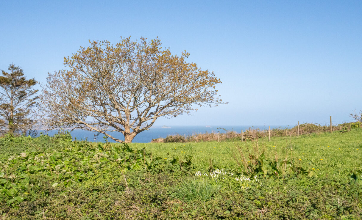View from Pawadise Park