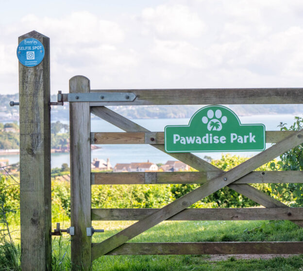 Dog-Friendly Ownership - pawadise park