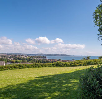 Paw-adise park - dog facilities