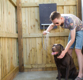 Dog-Friendly Ownership - dog shower