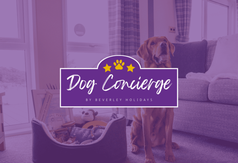 Dog Concierge Service - Beverley Holidays