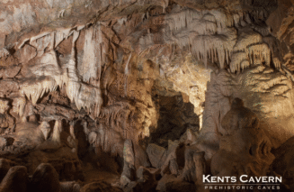 Kents Cavern - Freedom Experience
