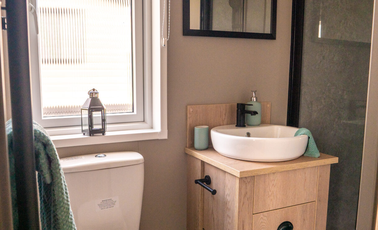 Victory Davenport toilet and sink